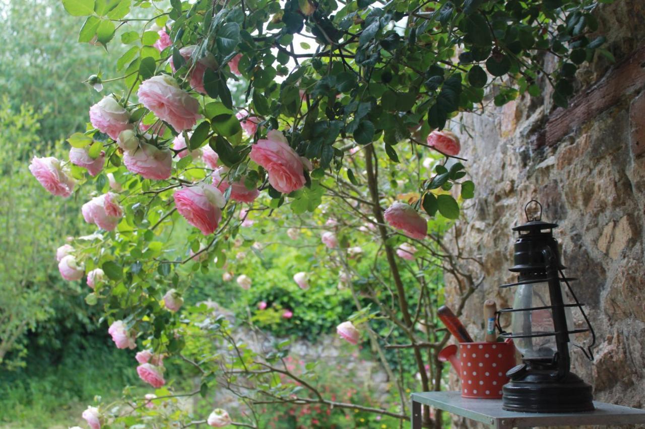 Le Manoir De Panduonec Bed and Breakfast Treverec Eksteriør billede
